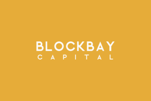 BlockBay Capital wil investeren in blockchain professionaliseren