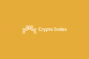 Eerste jaar Crypto Index Fonds een feit